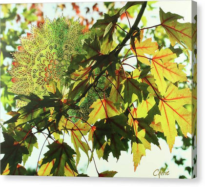 Fall Leaves - Canvas Print