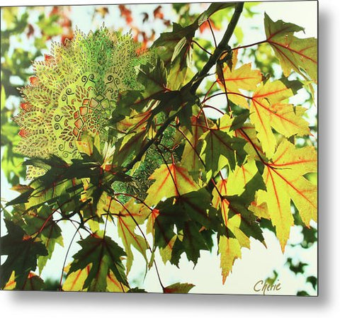 Fall Leaves - Metal Print
