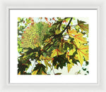 Fall Leaves - Framed Print